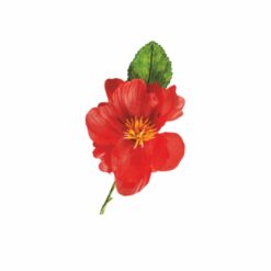 1 Fiore Mix Colori E Modelli Conf. 60 Pz 21 15