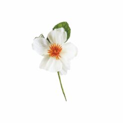 1 Fiore Mix Colori E Modelli Conf. 60 Pz 26 6