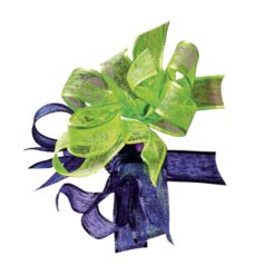 NASTRO NAT RIBBON CON BORDI ANIMATI SR 157 1