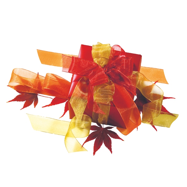 Nastro Super Organza 1 Nastro Super Organza