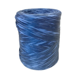 Nastro Polyraphia Bicolore 4 SR 111 B BLU 1