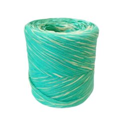 Nastro Polyraphia Bicolore 5 SR 111 B verde e tiffany