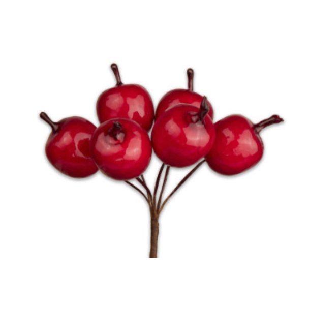 Apple Pick 1 Apple Pick