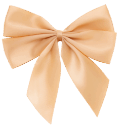 Fiocco Ribbon New Style 12 DG 001 RIBBON NEW STYLE 14x4x16 CM E 0.59 11