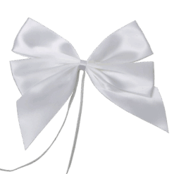 Fiocco Ribbon New Style 14 DG 001 RIBBON NEW STYLE 14x4x16 CM E 0.59 7