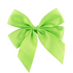 Fiocco Ribbon New Style 16 DG 001 RIBBON NEW STYLE 14x4x16 CM E 0.59 9