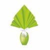 Incarti in Polipropilene - Monocolore Verde - cm 100X100 ( conf. da 5 kg )