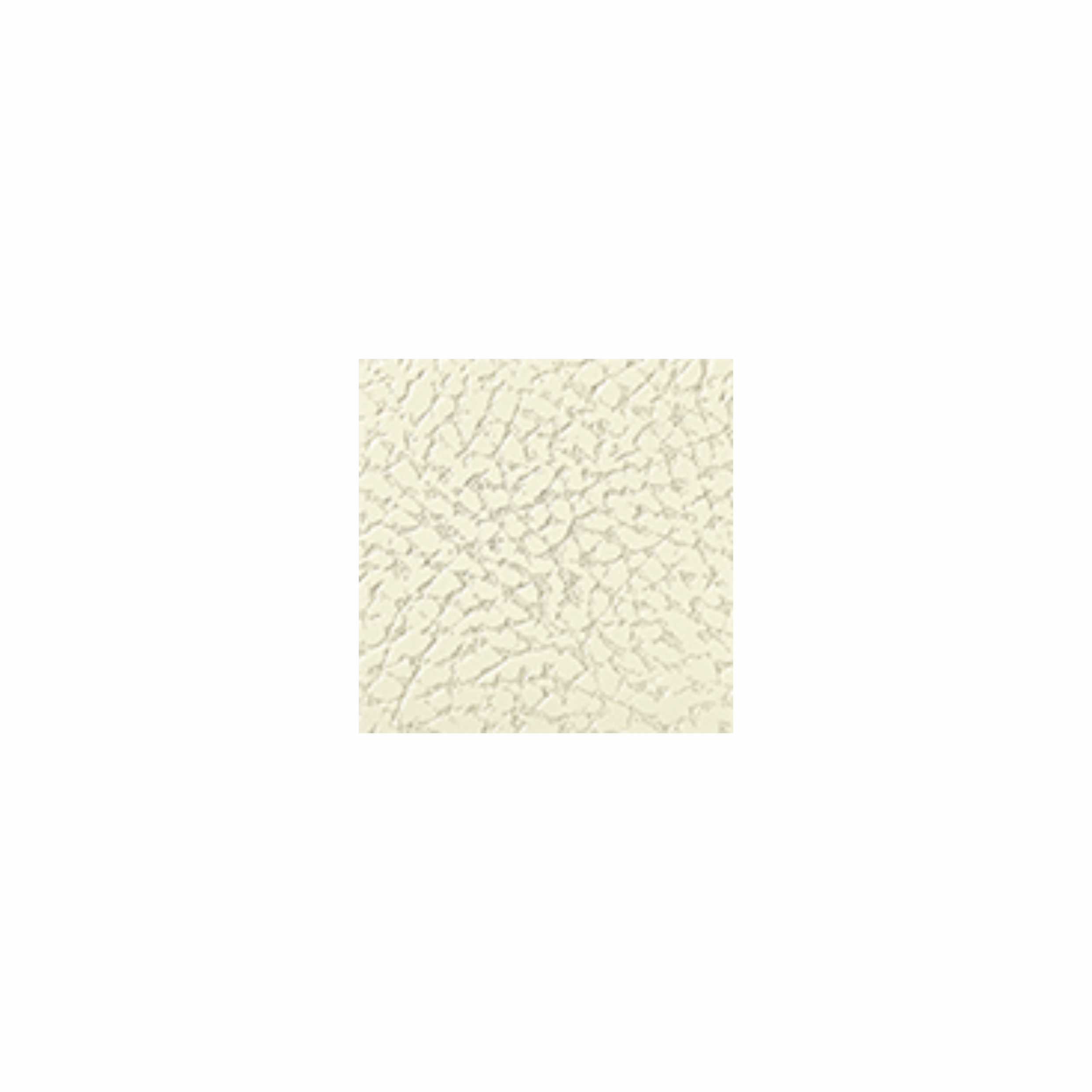 Scatola Portapaste In Pelle Bianco 2 Scatola Portapaste in Pelle Bianco - immagine 2
