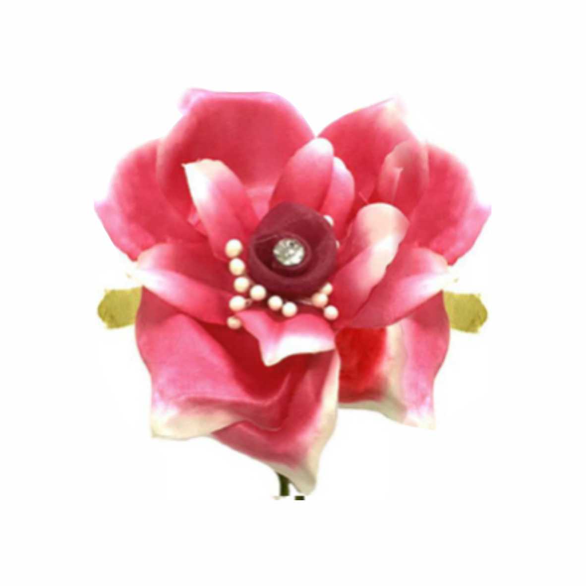 Fiori 1 FIORI