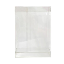 Box Slim Rettangolare In Pvc Trasparente O Con Fondo Colorato 5 PPBOX12 32x100 h 12 E 044